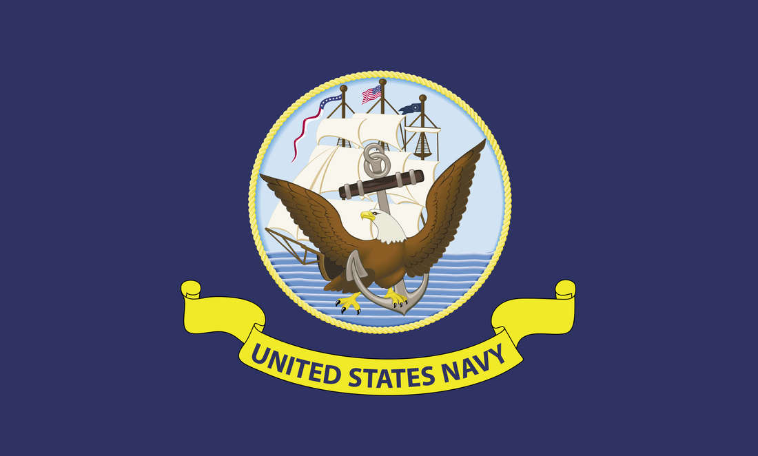 Eagle flying next a ship on the sea