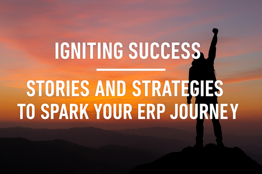 A silhouette of a person standing triumphantly atop a mountain peak at sunset with bold text 'IGNITING SUCCESS – STORIES AND STRATEGIES TO SPARK YOUR ERP JOURNEY' set against a vibrant orange-purple sky.