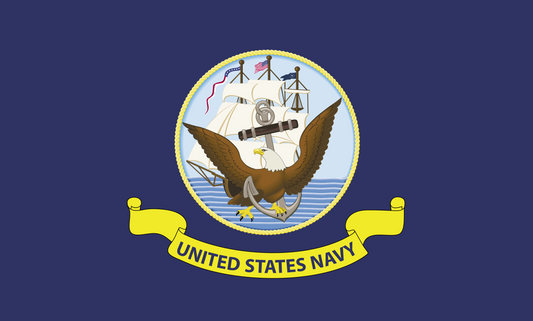 Eagle flying next a ship on the sea 